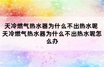 天冷燃气热水器为什么不出热水呢 天冷燃气热水器为什么不出热水呢怎么办